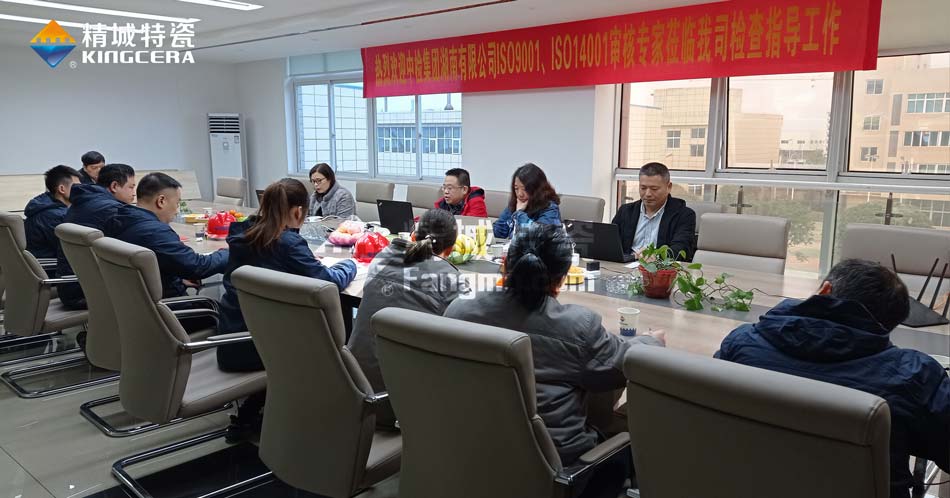 888集团特瓷ISO14001环境治理系统认证评估审核